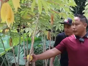Belajar dari Narji yang Punya Lahan 1.000 Ha, Ini Tips Cuan Investasi Properti Belajar dari Narji yang Punya Lahan 1.000 Ha, Ini Tips Cuan Investasi Properti