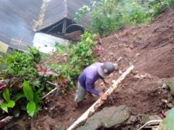 Diguyur Hujan Deras, Longsor Terjadi di 3 Titik Timpa Rumah Warga Magetan