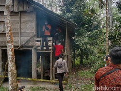 5 Hari Hilang, Petani Karet di Jambi Ditemukan Tewas Membusuk di Pondok