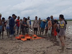 Nahas Warga Kupang Diduga Dimakan Buaya hingga Tersisa Perut-Kaki