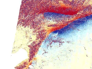 Dua Retakan Sepanjang Ratusan Km Muncul Usai Gempa Dahsyat Turki