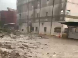 3 Fakta Banjir dan Longsor di PT Freeport Hingga Kondisi Terkini