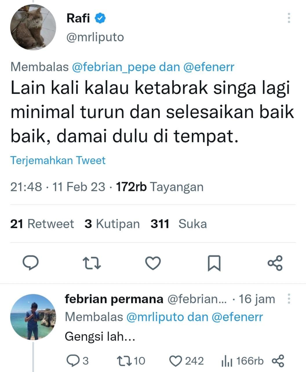 Cuitan kocak pemilik mobil yang ditabrak singa dan netizen