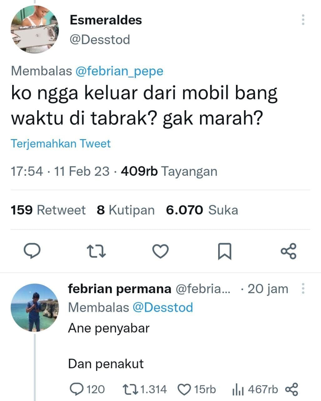 Cuitan kocak pemilik mobil yang ditabrak singa dan netizen