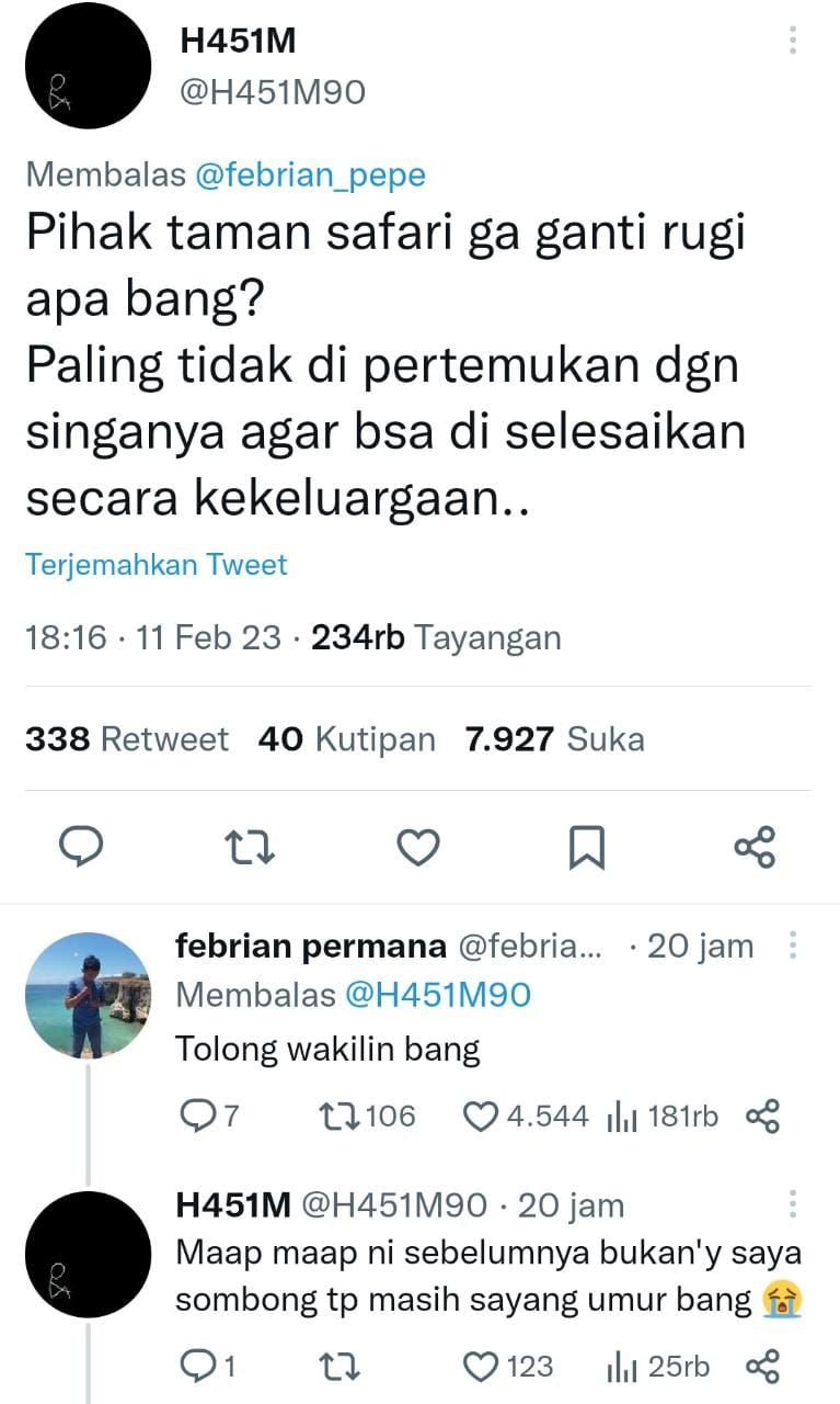 Cuitan kocak pemilik mobil yang ditabrak singa dan netizen