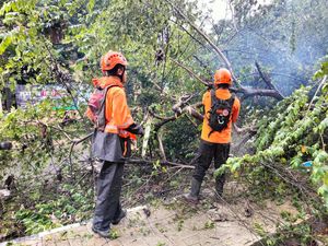 Hujan dan Angin Kencang Landa Bogor, Pohon Tumbang di Sejumlah Titik