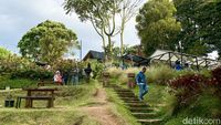 Menikmati Sejuknya Udara Dago di Kafe DPakar Sambil Makan Nasi Liwet