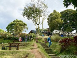 6 Kafe Nuansa Alam di Kota Bandung, Cocok untuk Healing Keluarga