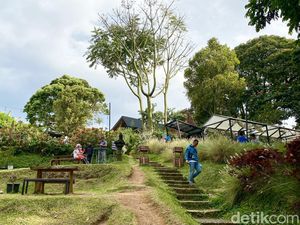 Menikmati Sejuknya Udara Dago di Kafe DPakar Sambil Makan Nasi Liwet Menikmati Sejuknya Udara Dago di Kafe DPakar Sambil Makan Nasi Liwet