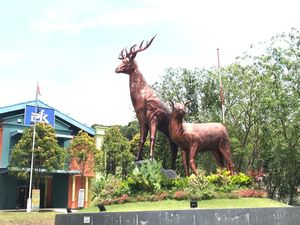 3 Rekomendasi Kebun Binatang Mini di Batam