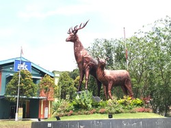 3 Rekomendasi Kebun Binatang Mini di Batam