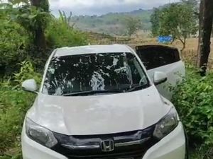 Cerita Angker soal Kera Hutan Tambakromo Pati, TKP Mobil Nyasar Misterius Cerita Angker soal Kera Hutan Tambakromo Pati, TKP Mobil Nyasar Misterius
