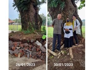Alumni Temukan Unsur Kesengajaan Tumbangnya Pohon di SMAN 1 Semarang Alumni Temukan Unsur Kesengajaan Tumbangnya Pohon di SMAN 1 Semarang