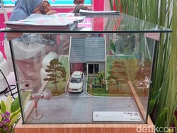 Mau Rumah Pemandangan Gunung Cuma Rp 400 Juta? Cek di Sini