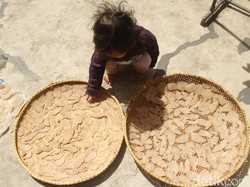 Saatnya Mengubah Sampah Jadi Emas dan Kriuk Gendar