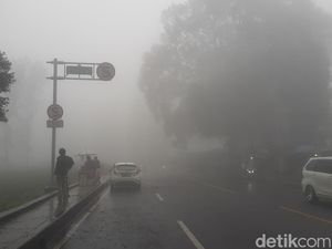 Hati-hati! Kabut Bikin Jarak Pandang di Puncak Cuma 10 Meter