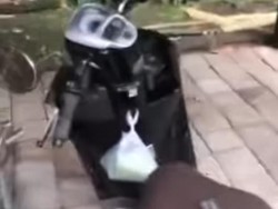 Viral Motor Digondol Maling di Parkiran Pura Abiansemal Badung