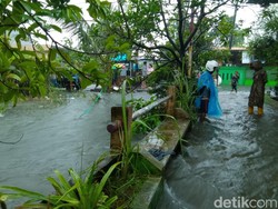 Ketinggian Banjir Makassar Mencapai Setinggi Leher Orang Dewasa