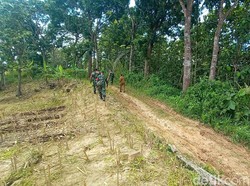 Begini Ekstremnya Jalur Hutan Tambakromo Lokasi HRV Nyasar Misterius di Pati