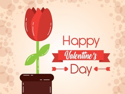 55++ Ucapan Happy Valentines Day dan Artinya untuk Pacar, Suami-Istri