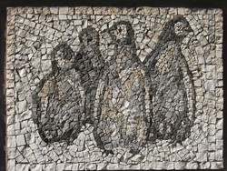 Spesies Penguin Purba Raksasa Ditemukan, Beratnya sampai 160 Kg