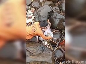 Heboh Penemuan Jasad Bayi Tak Utuh di Padang, Polisi Turun Tangan