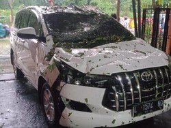 Pohon Tumbang di Surabaya Timpa Innova hingga Penyok
