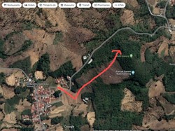 Fakta-fakta Hutan Tambakromo, Tempat Mobil HRV Nyasar di Pati