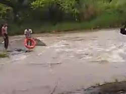 2 Anak Terjebak di Tengah Derasnya Ciliwung Bogor, Tim SAR Evakuasi