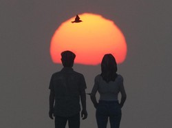 5 Pasangan yang Cocok untuk Taurus Berdasarkan Zodiak, Pisces hingga Cancer