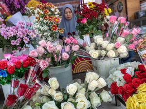 Hari Valentine, Bunga dan Kado Laris Manis di Banyak Daerah Hari Valentine, Bunga dan Kado Laris Manis di Banyak Daerah