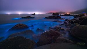 Pantai di China Bercahaya Bak Lampu Neon, Keren Banget!