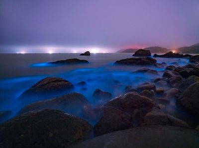 Pantai di China Bercahaya Bak Lampu Neon, Keren Banget!