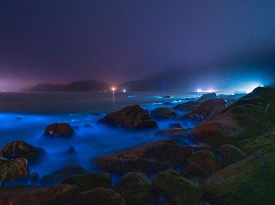 Bukan Aurora, Ini Pantai di China yang Nyala Seperti Lampu Neon