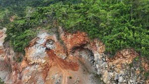 Penampakan Gunung di Sultra yang Batunya Sempurna buat Smelter Nikel