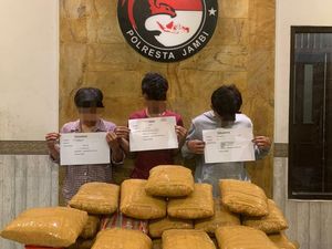 3 Pengedar 25 Kg Ganja Jaringan Sumut Ditangkap di Jambi