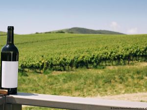 Prancis Berjuang Atasi Krisis Kelebihan Produksi Wine