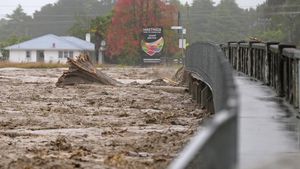 Diamuk Topan Gabrielle, Selandia Baru Umumkan Darurat Nasional