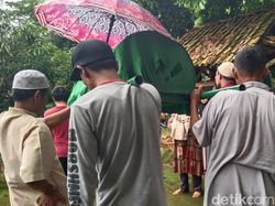 Pasutri Tertimpa Pohon di Sukabumi, Satu Orang Tewas!