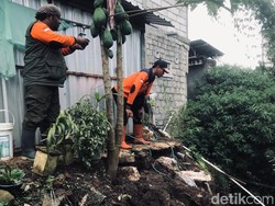Tebing Setinggi 8 Meter Longsor Saat Kota Batu Dilanda Hujan Deras