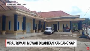 Foto: Rumah Mewah di Madura yang Viral Dijadikan Kandang Sapi