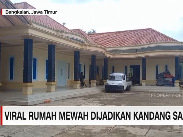 Foto: Rumah Mewah di Madura yang Viral Dijadikan Kandang Sapi