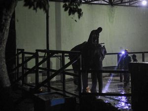 Fraksi Si Gajah Betina Sumatera Tiba di Kebun Binatang Rimba Jambi