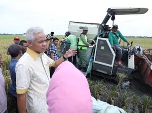 Jaga Stabilitas Harga Beras, Ganjar Ajak Petani Genjot Produktivitas