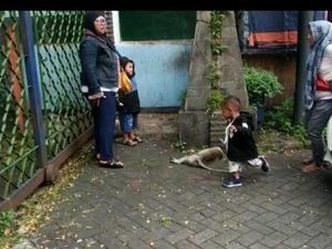 Seekor Monyet di Taman Wisata Wendit Malang Mati Jadi Korban Tabrak Lari