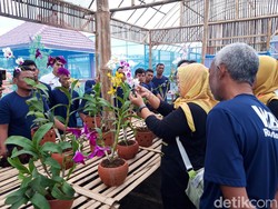 Warga Binaan Rutan Boyolali Dilatih Budi Daya Anggrek