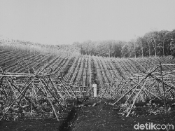 Kisah Pengusiran Meneer Belanda dari Pabrik Tjipetir Sukabumi