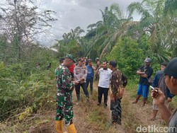Cari Rumput Sapi, Peternak di Riau Hilang Diterkam Buaya