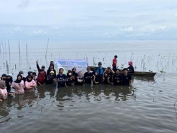 Srikandi Ganjar Sulsel Ajak Warga Tanam 500 Bibit Mangrove di Makassar