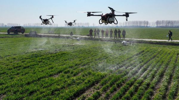 Ada Drone Mondar-mandir di China, Bukan Mata-mata tapi buat Nyemprot Pestisida
